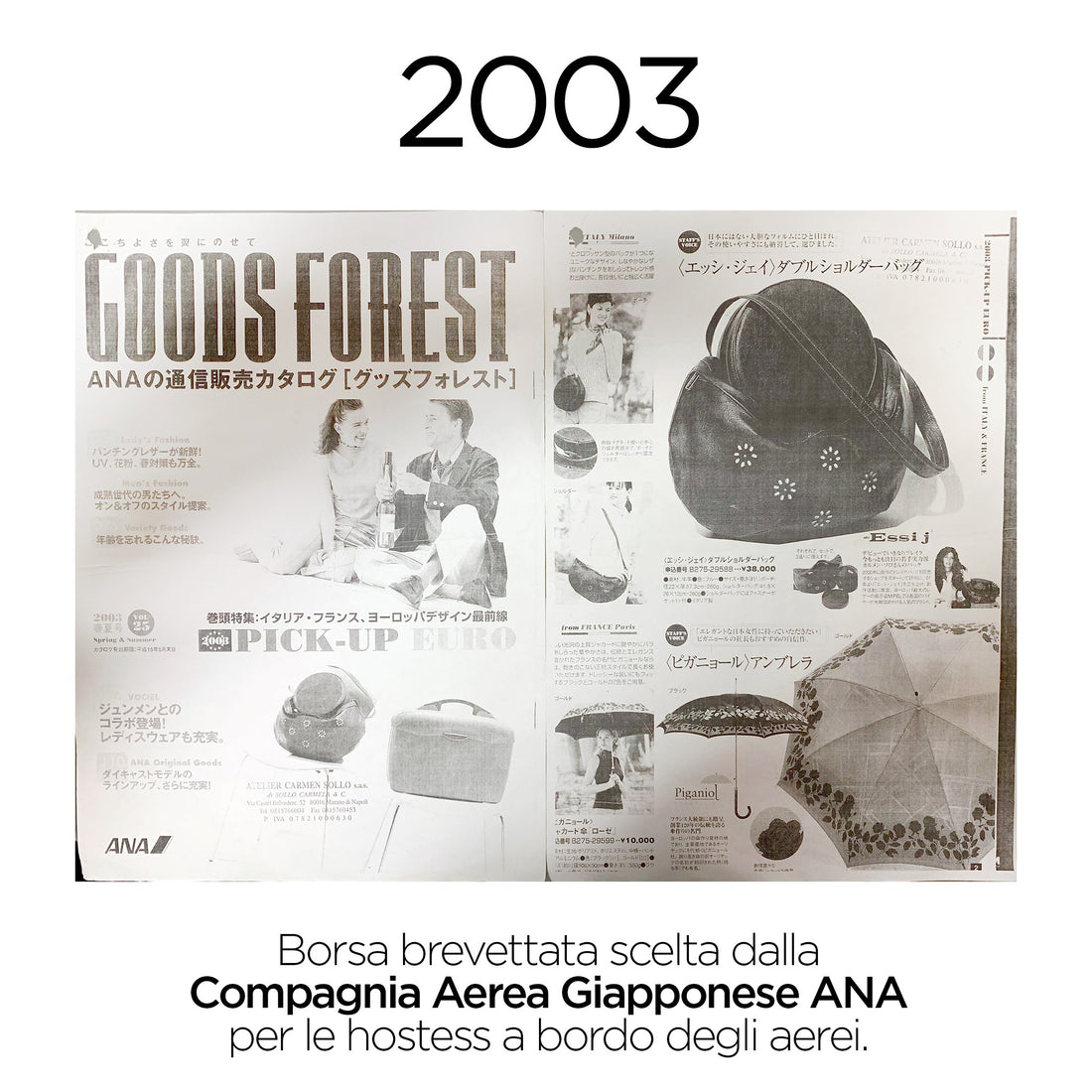 Japan Air Companies (2003)